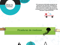 Infografía medusas